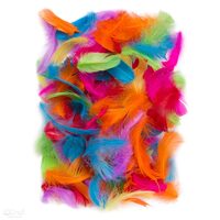 CEPI-026 - Set 10g pene asortate colorate, 5 - 12 cm , nuante deschise - DP CRAFT