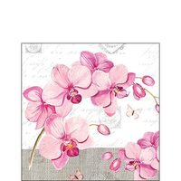 PAK337 - Pachet 20 servetele 25 x 25 cm - Ambiente - 12509955