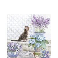 PAK363 - Pachet 20 servetele 25 x 25 cm - Ambiente - 12509990