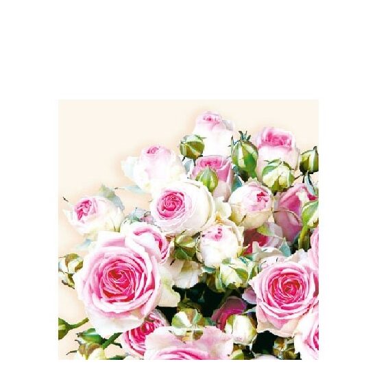 PAK309 - Pachet 20 servetele 25 x 25 cm - Ambiente - 12505155