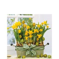 PAK351 - Pachet 20 servetele 25 x 25 cm - Ambiente - 22501605