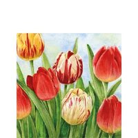 PAK372 - Pachet 20 servetele 25 x 25 cm - Ambiente - 12509960