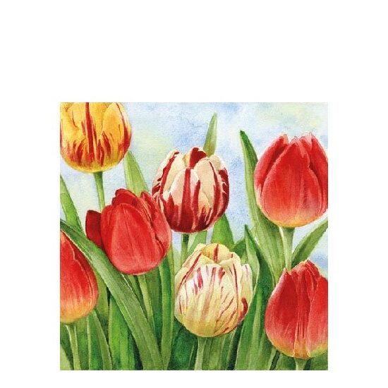 PAK372 - Pachet 20 servetele 25 x 25 cm - Ambiente - 12509960