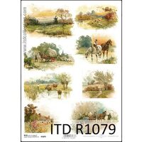 R1079 - Hartie orez A4, 25 - 30gr - ITD
