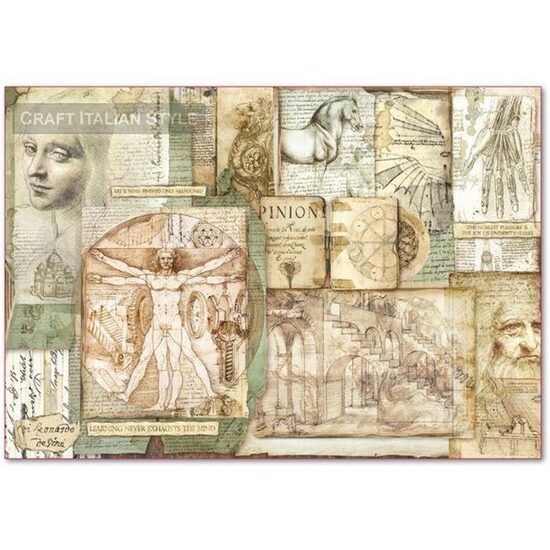 DFS390 - Hartie de orez 48x33cm - Stamperia