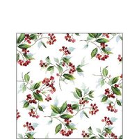 PAK389 - Pachet 20 servetele 25 x 25 cm - Ambiente - 32510505
