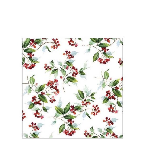 PAK389 - Pachet 20 servetele 25 x 25 cm - Ambiente - 32510505