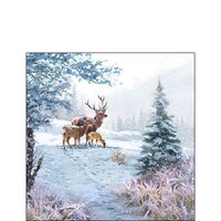 PAK387 - Pachet 20 servetele 25 x 25 cm - Ambiente - 32510565