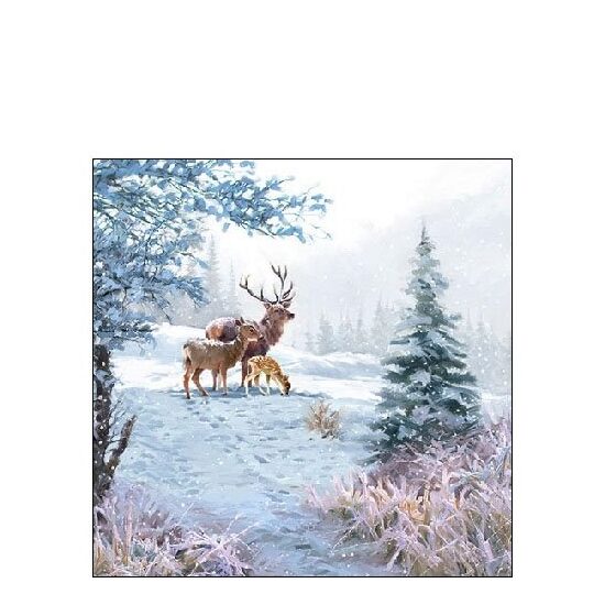 PAK387 - Pachet 20 servetele 25 x 25 cm - Ambiente - 32510565