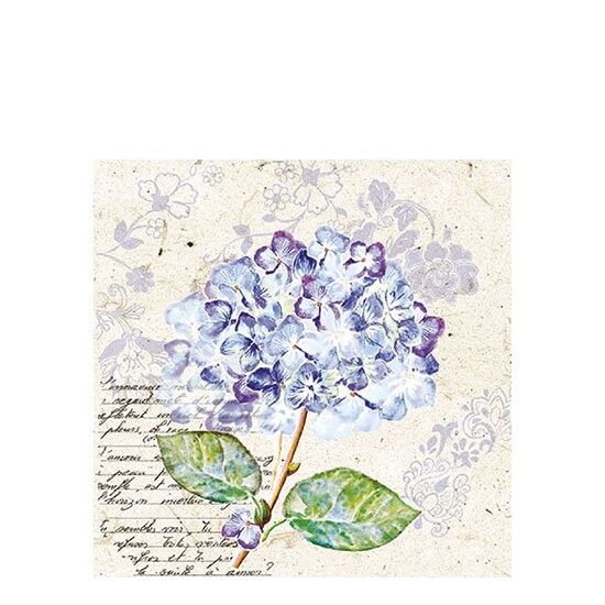 PAK377 - Pachet 20 servetele 25 x 25 cm - Ambiente - 12509740
