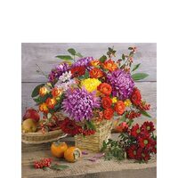 PAK388 - Pachet 20 servetele 25 x 25 cm - Ambiente - 12510995