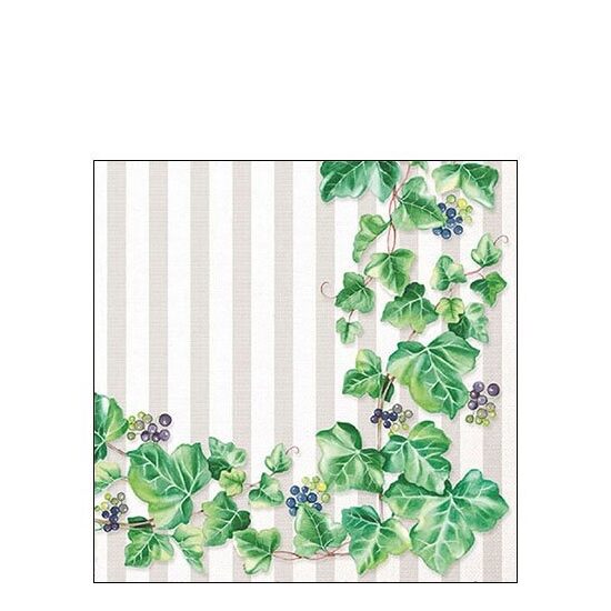 PAK376 - Pachet 20 servetele 25 x 25 cm - Ambiente - 12508985