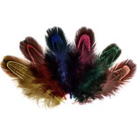 24067 - Set 22 pene multicolore, fazan, 6-8cm - Meyco