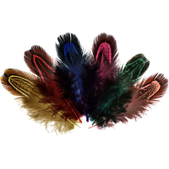 24067 - Set 22 pene multicolore, fazan, 6-8cm - Meyco