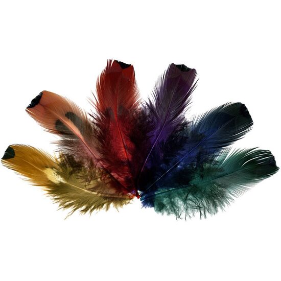 24080 - Set 24 pene multicolore, fazan, 6-8cm - Meyco