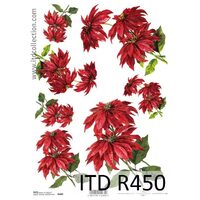 R450- Hartie orez A4, 25 - 30gr - ITD