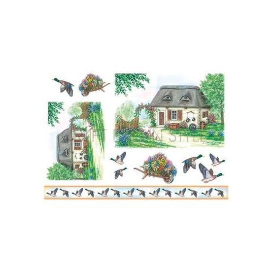 DFS049 - Hartie de orez Stamperia 48x33 cm - Wild goose