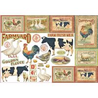 DFS322 - Hartie de orez Stamperia 48x33 cm - farm-DISC