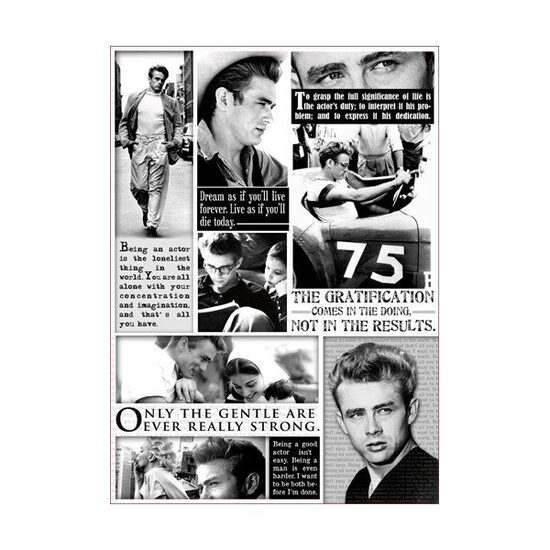 DFG448 - Hartie decoupage 80 gr, 50 x 70, James Deen