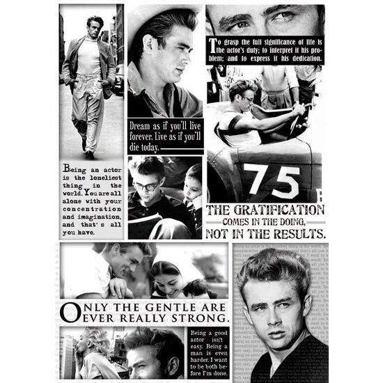 FLSG/ST98 - Fetru printat 50 x 70 cm - Stamperia - James Dean