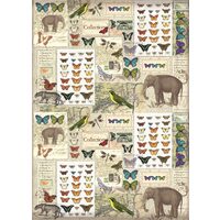FLSG/ST30 - Fetru printat 50 x 70 cm - Stamperia - elephants