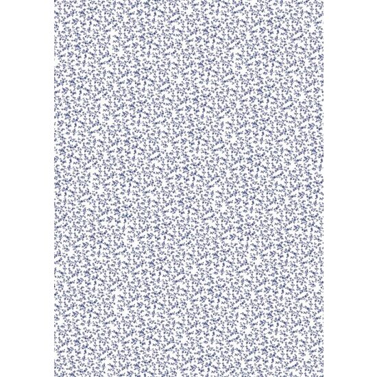 FLSG/ST79 - Fetru printat 50 x 70 cm - Stamperia - British white