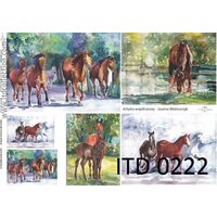 D0222M - Hartie decupaj - CLASIC A4, 60gr - ITD