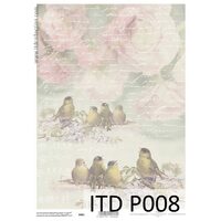 P008 - Hartie translucenta, A4 ,115g - ITD