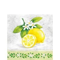 PAK30 - Pachet 20 servetele 25 x 25 cm - Ambiente - 12509695