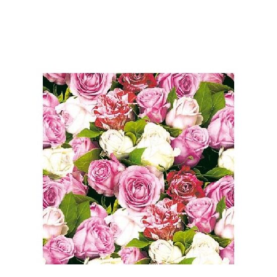 PAK145 - Pachet 20 servetele 25 x 25 cm - Ambiente - 12505050