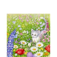 PAK164 - Pachet 20 servetele 25 x 25 cm - Ambiente - 12508695