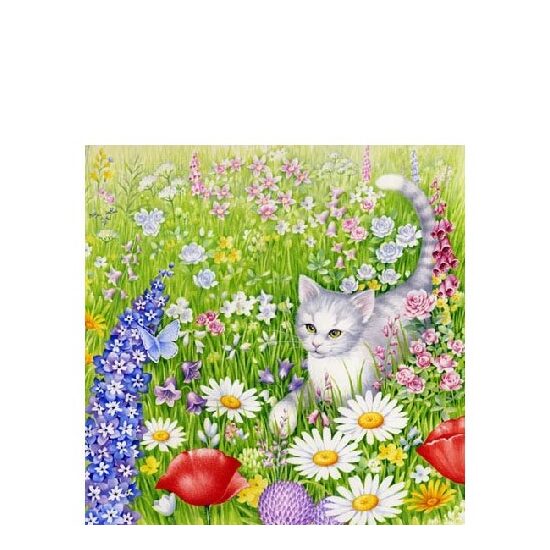 PAK164 - Pachet 20 servetele 25 x 25 cm - Ambiente - 12508695