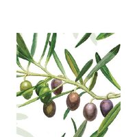 PAK93 - Pachet 20 servetele 25 x 25 cm - Ambiente - 12505595