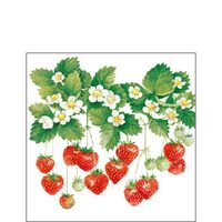 PAK156 - Pachet 20 servetele 25 x 25 cm - Ambiente - 12508205