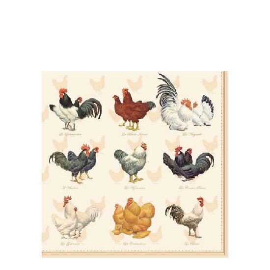 PAK84 - Pachet 20 servetele 25 x 25 cm - Ambiente - 12504880