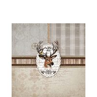 PAK148 - Pachet 20 servetele 25 x 25 cm - Ambiente - 12511850