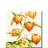PAK137 - Pachet 20 servetele 25 x 25 cm - Ambiente - 12506210