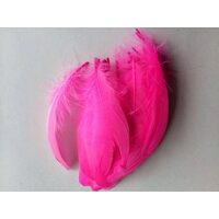375090 - Set 100 pene roz - 16cm - ANT-CH
