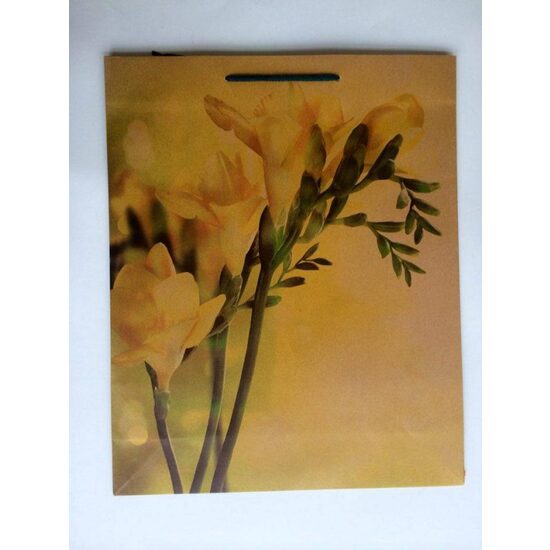 488219 - M4 - Punga cadou natur cu flori, 39.5x32x10cm - ANT-CH