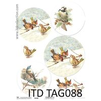 TAG-088 - Hartie scrapbooking -Etichete - A4, 250g - ITD
