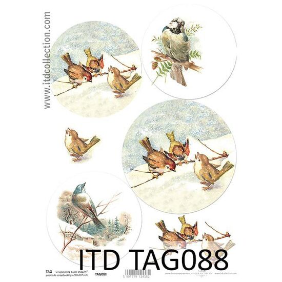 TAG-088 - Hartie scrapbooking -Etichete - A4, 250g - ITD