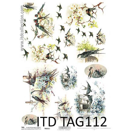 TAG-112 - Hartie scrapbooking -Etichete - A4, 250g - ITD
