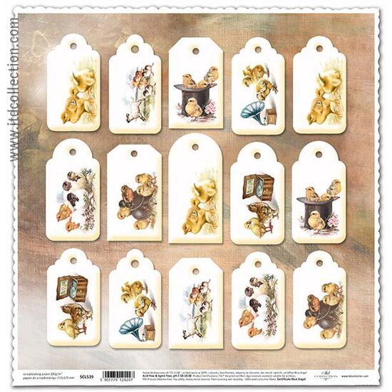 SCL539 - Hartie scrapbooking - 200g, 31,5 x 32,5 cm - ITD