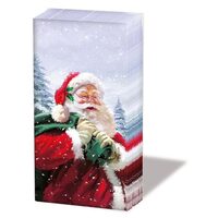 32204230 Set 10 servetele mini 21.5x22 cm HO HO HO - Ambiente