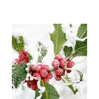 PAK201 - Pachet 20 servetele 25 x 25 cm - Ambiente - 12505250