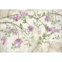 DFS365 - Hartie de orez Stamperia 48x33 cm