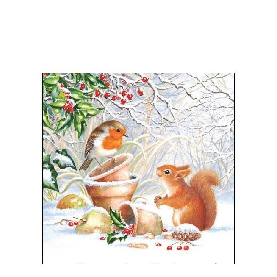 PAK293 - Pachet 20 servetele 25 x 25 cm - Ambiente - 32504915