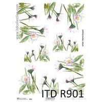 R901 - Hartie orez A4, 25 - 30gr - ITD