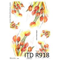 R918 - Hartie orez A4, 25 - 30gr - ITD
