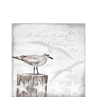 PAK338 - Pachet 20 servetele 25 x 25 cm - Ambiente - 12509115